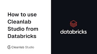 How to use Cleanlab Studio from Databricks [upl. by Nolly438]