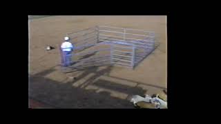 1993 Al Kinson Memorial Derby in Holliday Texas Sheep Runs [upl. by Adnarrim]