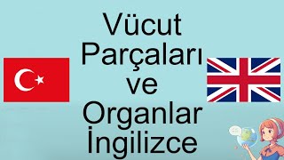 İngilizce Vücut Parçaları ve Organları Öğrenin [upl. by French]