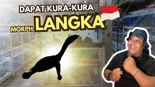 GAK SENGAJA DI TOKO IKAN DAPAT KURAKURA INI 🤩 [upl. by Anerrol]