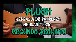 Plush  Herencia De Patrones X Hernan Trejo  Segundo Requinto Tutorial  TABS  Guitarra [upl. by Leksehcey741]