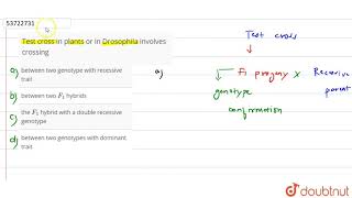 Test cross in plants or in Drosophila involves crossing  12  PRINCIPLES OF INHERITANCE AND V [upl. by Audre]