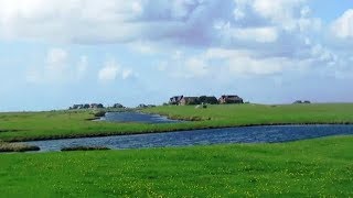 Hallig Hooge [upl. by Karlyn156]