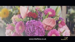 Interflora  The Flower Experts [upl. by Laddie]