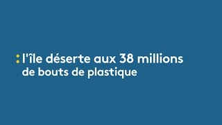 Lîle déserte aux 38 millions de bouts de plastique  franceinfo [upl. by Nihahs827]