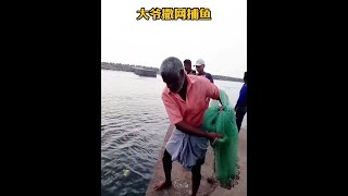 戶外捕魚：大爺用腳將螃蟹踩碎丟進河中，然後再撒網捕魚！ 捕魚 撒網 [upl. by Oretna118]