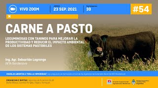 Carne a pasto Leguminosas con taninos para mejorar la productividad y reducir el impacto ambiental [upl. by Iverson]