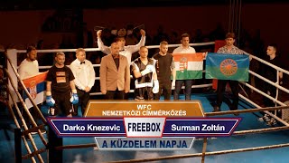 30 Darko Knezevic vs Surman Zoltán Freebox  WFC Címmérkőzés [upl. by Annatsirhc904]