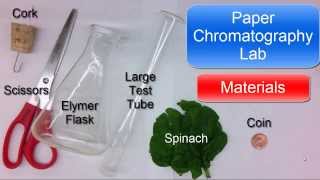 Paper Chromatography Lab short [upl. by Nerland503]