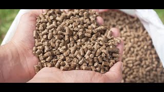 Bharat Feed amp Extraction Ltd  Cattle Feed Manufacturer  Cow Feed  Buffalo Feed  Goat Feed [upl. by Hnil278]