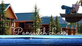 Panguitch Lake Utah  First Fishing Experience  CABIN TOUR [upl. by Froh205]