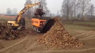 BUFFEL BIOPOWER DOPPSTADT 3060 [upl. by Atinihc]