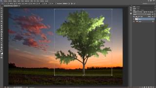 Relleno con motivos  Tutorial Adobe Photoshop CC [upl. by Tremann963]