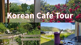 What do Korean cafes look like in the country Two of Koreas popular rural cafes [upl. by Kelby]