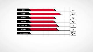 Ecsta — PA31 Part 3  Kumho Tire USA [upl. by Lauralee]