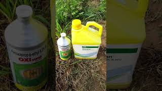 basf basagran  oxi super herbicide  herbicide combination [upl. by Gnohp729]