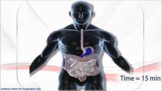 Visualising Liquid Dosage Forms with Gamma Scintigraphy [upl. by Paley642]