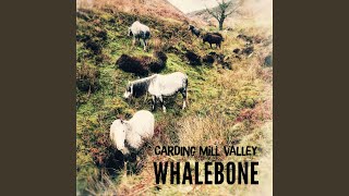 Carding Mill Valley [upl. by Ahsienat]