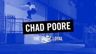 Chad Poore  The Royal Loyal [upl. by Tyoh]