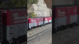 N scale Broadway Limited Imports DCCsound Pacemaker freight train rasch studios custom caboose 1160 [upl. by Adnoval]