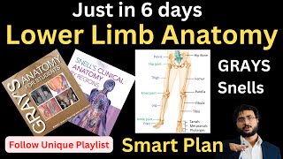 Lower Limb in 6 Days  HNML lowerlimb [upl. by Nalac]