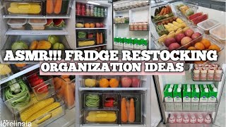 NEW ASMR  Refrigerator Restocking amp Organization Ideas  Small Fridge Ideas  Lorelin Sia [upl. by Azeel13]