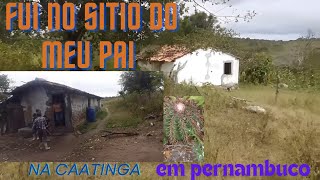 CAATINGA BRUTA sitio ciriaco altinho PE se inscreve pra maís 😃👍 [upl. by Amis]