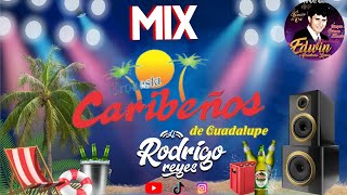 MIX CARIBEÑOS DE GUADALUPE 🍺  Vivo Por Tu Amor La Farsa Mentiras DJ RODRIGO REYES [upl. by Seagraves]