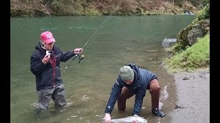 Fishing Guide Kalama side drift Steelhead 1232015 [upl. by Nairbo]