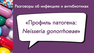 Профиль патогена Neisseria gonorrhoeae [upl. by Australia]