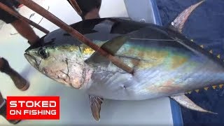 Independence Long Range Tuna Fishing  Part 3 [upl. by Itsirc]