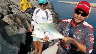 Jighead TV Diamond Trevally on Soft Bait  Dubai Fishing [upl. by Annerb844]