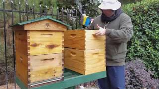 Preparing the Hives for Winter  2017 [upl. by Conlen575]