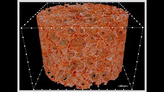 Lyophilization Freeze drying pharmaceuticals [upl. by Kciregor]