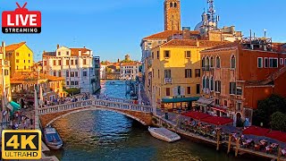 🔴 4K Live Cam of Ponte delle Guglie Venice  View from Hotel Leone Venezia  Live stream ライブカメラ [upl. by Eixel]