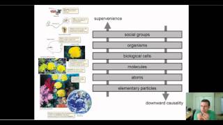 Systems Biology amp Emergent Properties Advanced [upl. by Nonnelg]