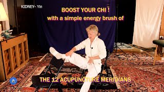 Energy Brush the 12 Acupuncture Meridians with Terres Unsoeld [upl. by Inaliak]