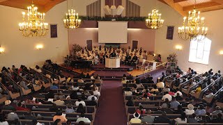 Mississauga Seventhday Adventist Church Live Stream  February 8th 2020 [upl. by Nyrhtac]