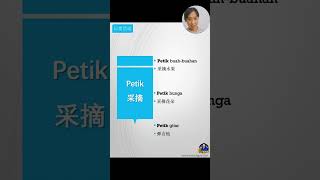 Petik 的意思和句子 [upl. by Carl]