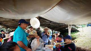 Banda de Viento de Moyotepec Guerrero 😍 [upl. by Gary]