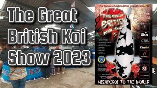 The Great British Koi Show 2023 Newark England The Best Koi On Show I Have Ever Seen koipond [upl. by Ellita]