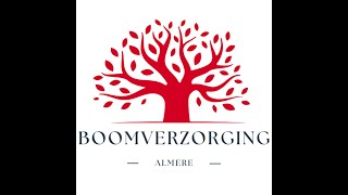 De voordelen van professionele boomverzorging [upl. by Ardeed]