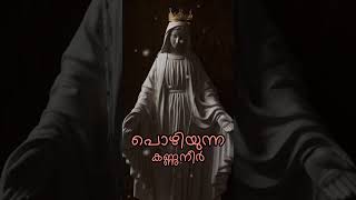 Idanenjil Eriyunna Kanalinte Choodettu Malayalam Devotional Songs  Shorts [upl. by Marin520]