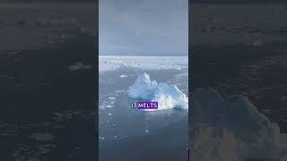 Does MELTING ICE CAPS RAISE the SEA LEVEL [upl. by Dixon]