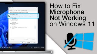 How To Fix Microphone Not Working In Windows 11  Full Guide [upl. by Mehetabel]