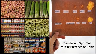 Translucent Spot Test for the Presence of Lipids [upl. by Gerlac847]