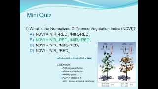 iGETT Concept Module Image Analysis Using NDVI Answers Part 2 of 2 [upl. by Annirok]