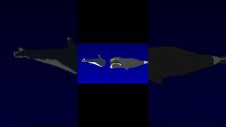 Bowhead whale vs livyatan animation sticknodes music rock [upl. by Wetzel605]