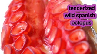 How to tenderize amp serve a wild Spanish Octopus [upl. by Michale]