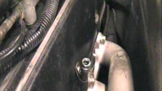 TVR V8 Spark Plug swap [upl. by Camm903]